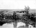 Wounded Canadians Carried to Aid at the Battle of Passchendaele